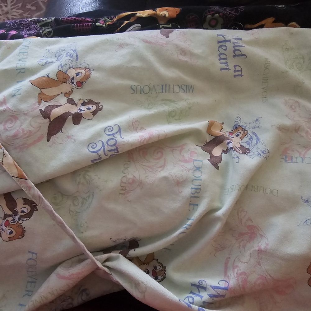 Chip 'n' Dale Light Green Scrub Top Size 2x
